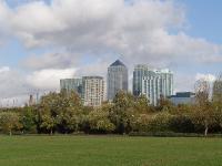 canary-wharf-island-gardens-view-3 